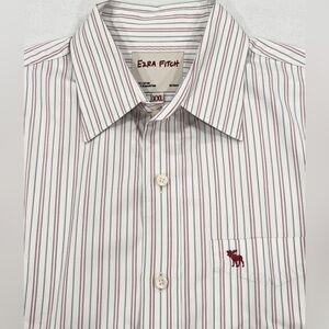 Ezra Fitch Mens XXL Striped Button Down Shirt Cotton Casual Classic Fit